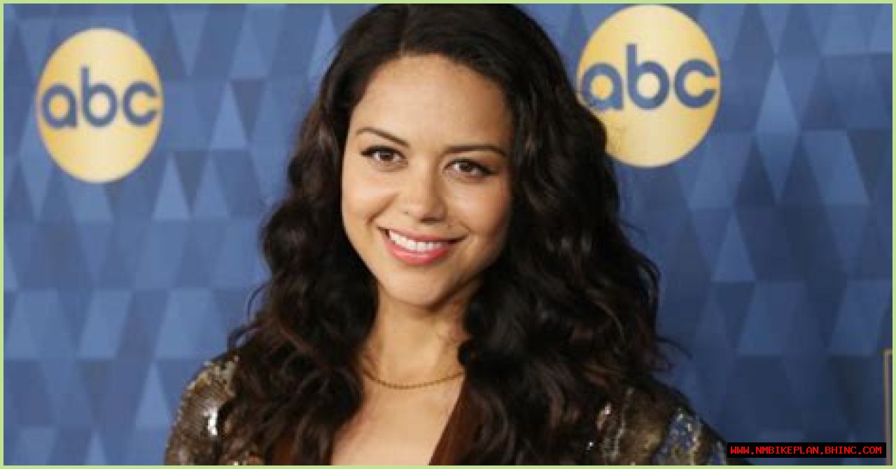 Alyssa Diaz's Character in 'The Rookie' Is Pregnant Again — Is She Pregnant IRL?