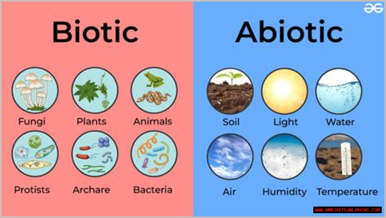 Examples of biotic and abiotic factors