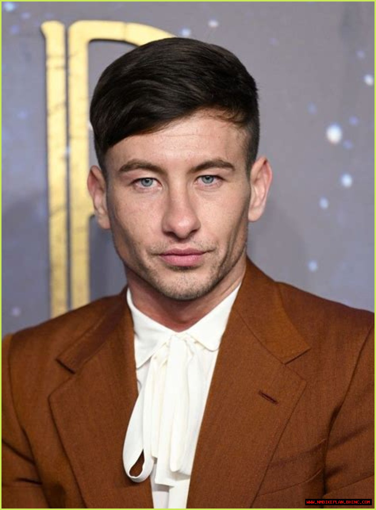 Exploring The Ethnicity Of Barry Keoghan: A Deep Dive