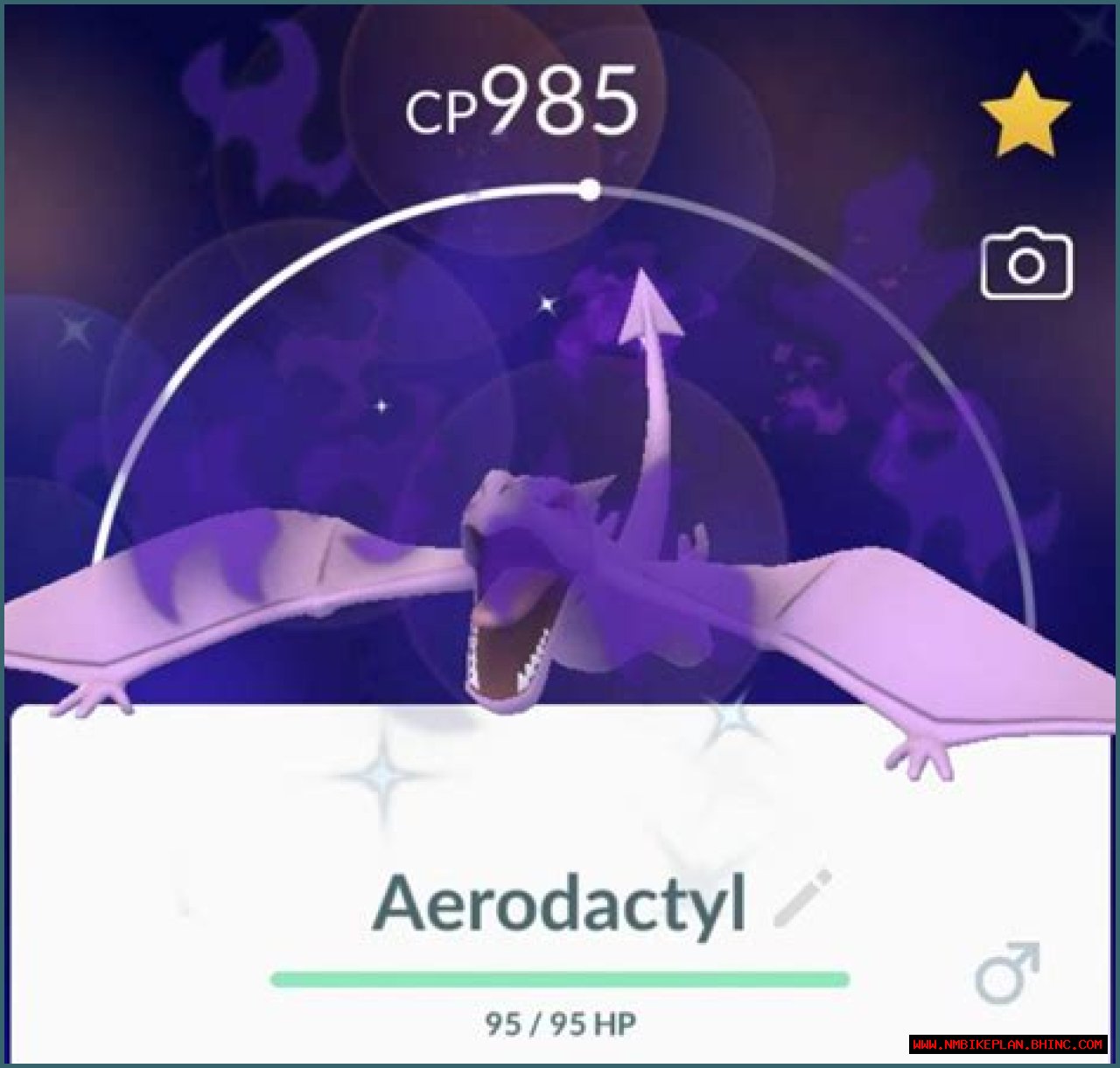 How to Beat Cliff (and Aerodactyl) in 'Pokémon GO' in February 2021