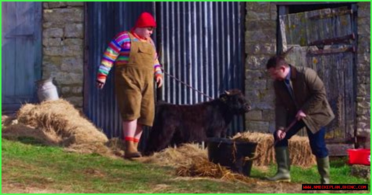Netflix’s ‘Christmas on Mistletoe Farm’ Brings Jingle Bells to the Barnyard