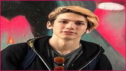 NichLmao Height, Weight, Net Worth, Age, Birthday, Wikipedia, Who, Nationality, Biography