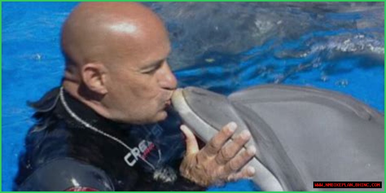 
What Happened To Jose Luis Barbero? The Last Dolphin King Cause Of Death 
